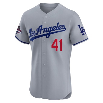 Elite Los Angeles Dodgers Daniel Hudson Road World Series Champions Jersey - Gray